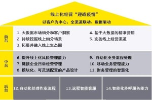 2019年至2020年，全球疫情下的挑战与变革