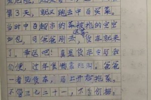 口罩里的春天，一个三年级小学生的抗疫日记
