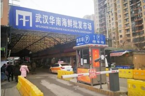 武汉疫情初现，2019年12月海鲜市场的警报