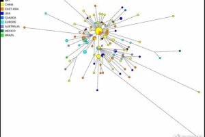武汉疫情病毒叫什么？——从新冠病毒到全球大流行的科学解析