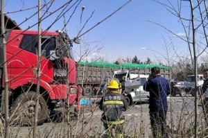 沈阳疫情下的死亡人数与防控挑战
