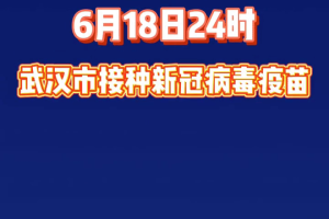 武汉新冠病毒2024年最新情况，挑战与希望并存