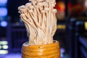 重庆福州疫情防控成效显著 经济复苏稳步前行
