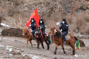 携手共筑防疫长城，青海省疫情通知与郑州最新消息