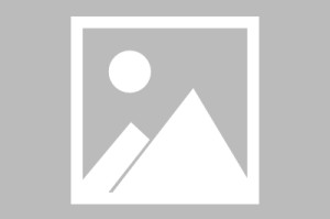 疫情最新数据消息中央新闻发布（疫情最新数据消息中央新闻发布会直播）