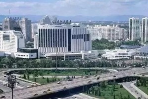 北京防疫启示录，一座超大型城市的疫情韧性密码