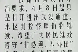 武汉疫情解封时间及其背后的故事