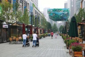 北京疫情何时解封？——从防控措施到解封预期的全面解析