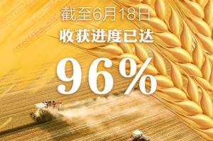 详细了解“跑胡子字牌合集”确实有开挂,原来有提高胜率