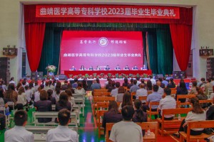 疫情笼罩的岁月，从2019年到2023年的全球抗疫历程