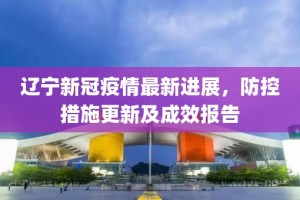 辽宁疫情新动态，精准防控下稳定局面与未来展望