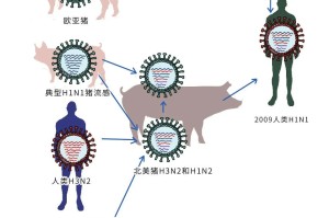 病毒变异与防控升级，透视近期疫情反弹的深层逻辑