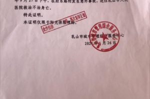 疫情期间失去收入状况证明