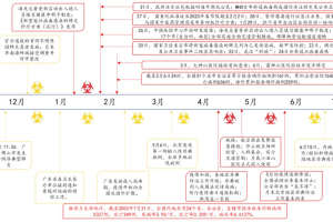 迷雾中的起点，肺炎疫情最初时间线的全球争议与科学探索