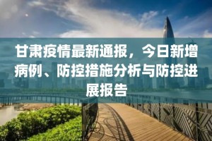 甘肃疫情最新数据消息，防控措施升级，民众需加强防护