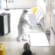 福建省与辽宁省疫情最新动态报告