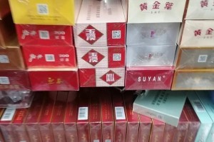 2024年12月疫情