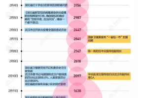 中国疫情起源时间，追溯与反思