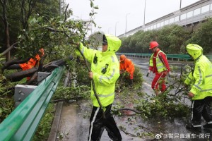 上海抗击台风，城市韧性与人心的温暖并驱
