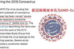 疫情病毒名字叫什么？——从命名规则到社会影响的全解析