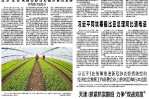 辽宁，疫情全面防控与经济复苏的双赢之路