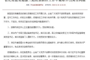 疫情背后的深度解析（疫情背后的深度解析论文）
