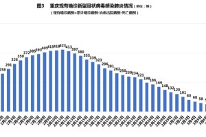 重庆疫情疾控官网，信息透明与防控力量的交汇点