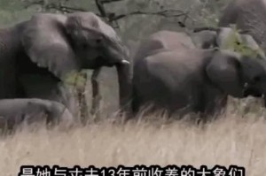 2019年疫情什么时候解封的