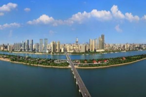 上海疫情下的城市韧性与人文关怀