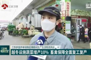 疫情下的南宁，生活物资供应全面观察
