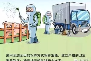 重庆甘肃疫情下的挑战与应对策略