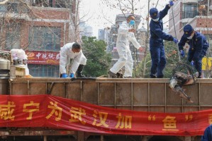 我国疫情封城时间线回顾，从初现到全面防控的历程