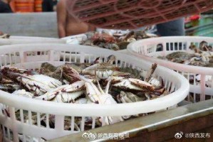 海鲜市场的警示，武汉疫情初现的时间节点与全球反思