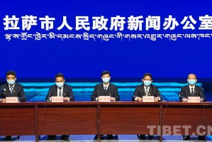 拉萨疫情防控成效显著，社会经济稳步复苏