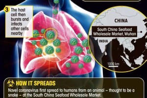 疫情病毒的英文名称是什么