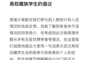 西藏疫情状况，挑战与应对