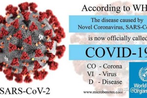 新冠病毒全名解析，从SARS-CoV-2到COVID-19的全球影响