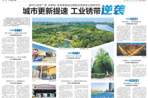 重大介绍“白金岛十胡卡究竟有没有挂”(原来有透视挂)