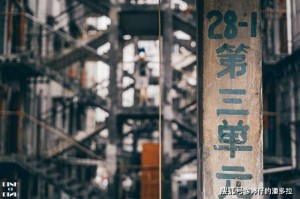 解封时刻，一座城市的集体记忆与精神突围
