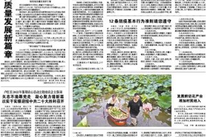 重庆疫病，历史、挑战与应对策略