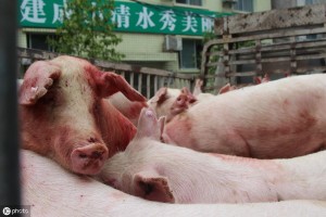 中国疫情为何突然消失？解析背后的多重因素