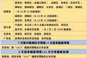 疫情严重十大城市名单，当前形势分析与应对策略