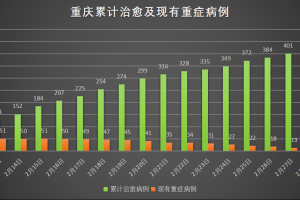 重庆防疫情况分析报告，疫情形势、防控措施与成效