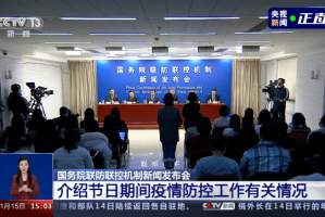 上海疫情挑战，城市防疫与民生保障的双重考验
