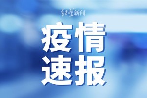 重庆与澳门病例对比，两地防疫启示录