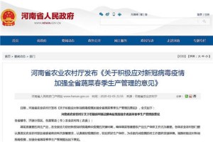 海口与重庆疫情对比，防控策略有何异同？