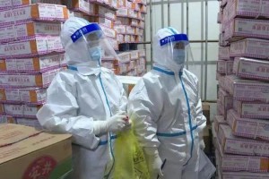 2019年新冠疫情爆发，全球公共卫生危机的开端