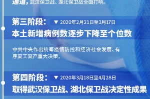 疫情何时全国封城？回顾与反思
