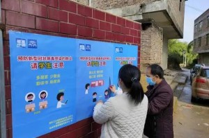 福建省疫情最新报告，科学防控，精准施策，共筑安全防线