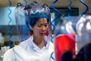 武汉新冠疫情，时间迷雾中的真相与启示